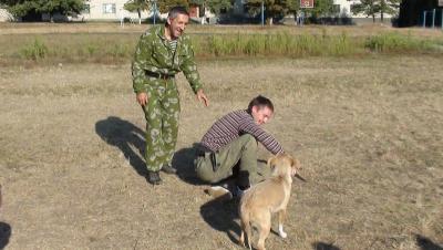 f25.jpg