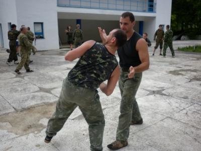 f6.jpg